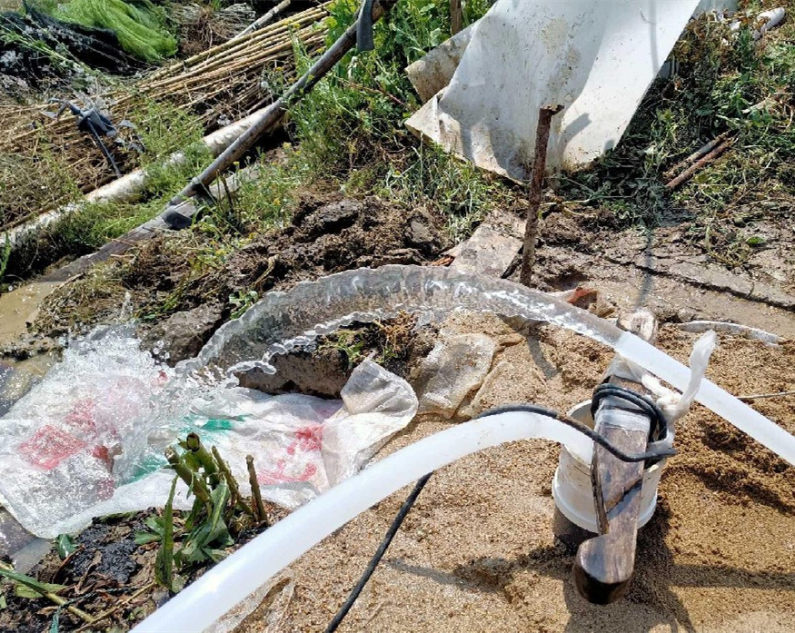 如东果园种树打井